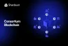 Consortium blockchain network